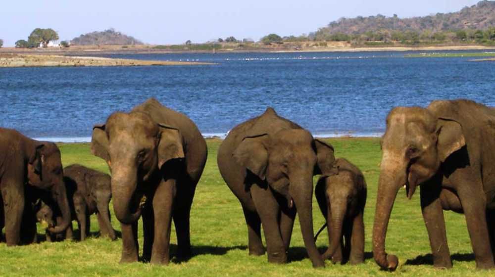 wildlife places in srilanka