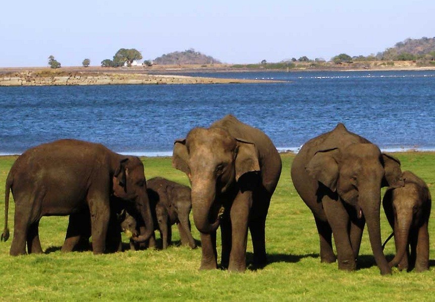 wildlife places in srilanka