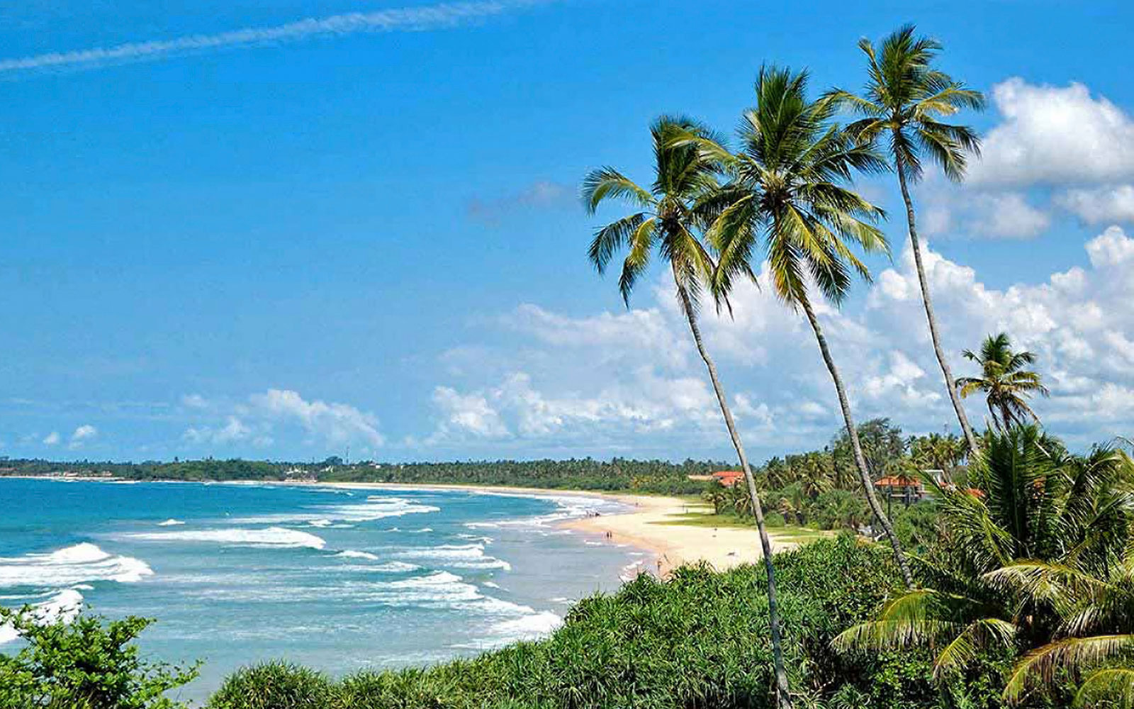 Best 6 days tour packages in srilanka